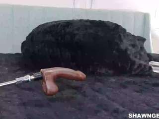 shawn-geni camsoda stream image