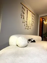 Irish_Collins stripchat stream image