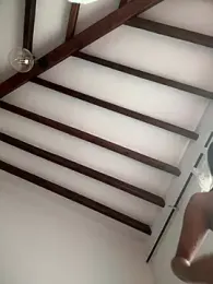 Arilw stripchat stream image