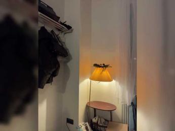 -Your-Michelle- bongacams stream image