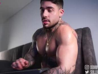 dominic_sullivan1 chaturbate stream image