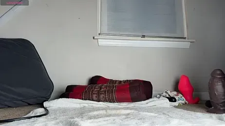 Theonlydreamybull stripchat stream image, 25.01.2026 06:00