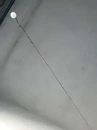 Srmotrs stripchat stream image