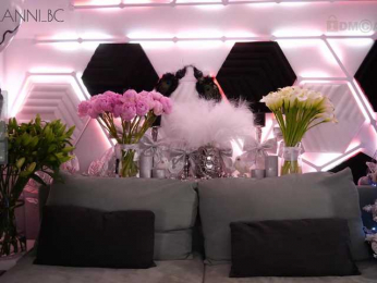 Taanni bongacams stream image