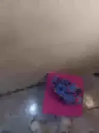 kingofqueenxxx stripchat stream image