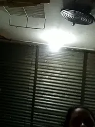 Andreita_95 stripchat stream image