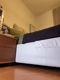 Wet-Pussycat stripchat stream image