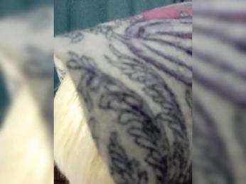 AlenkiyCvetochek bongacams stream image