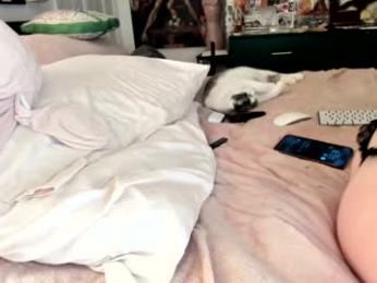 eve003300 chaturbate stream image, 27.02.2026 00:30
