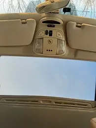 DollyTall stripchat stream image