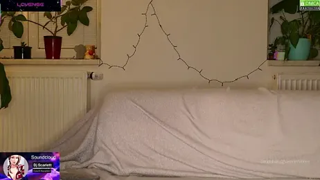 VenomVixen stripchat stream image, 28.02.2026 20:00