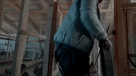 curvyana69 stripchat stream image