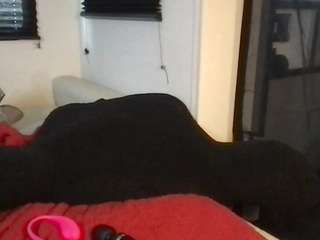butterflybooty camsoda stream image, 15.03.2026 14:00