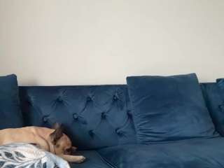 laladoll camsoda stream image, 15.03.2026 18:50