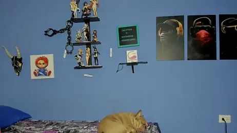 louchart_boys stripchat stream image, 21.03.2026 16:50