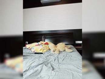 FLUFFY_BEAUTY bongacams stream image