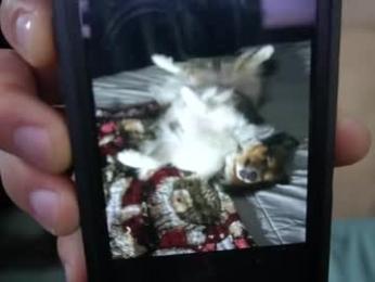 sydaffect chaturbate stream image, 30.03.2026 02:30