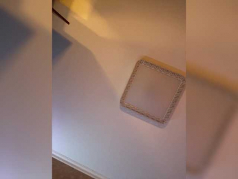 PALMIIRA bongacams stream image