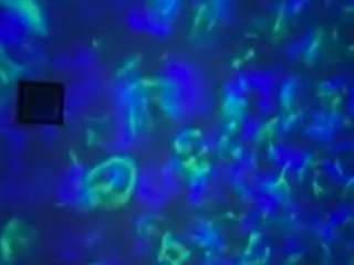 sexysagittarius1212 camsoda stream image, 04.05.2026 01:20