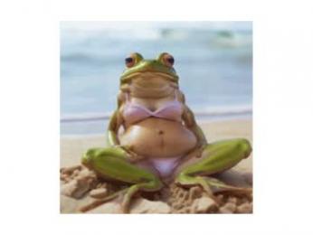 claire_moulin chaturbate stream image, 07.05.2026 20:10