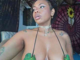 elizagrey camsoda stream image