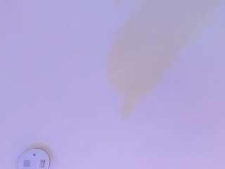 steffanybeckk camsoda stream image, 30.05.2026 11:20
