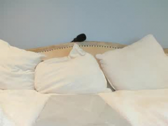 eatmygingersnapps chaturbate stream image