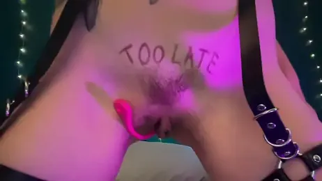 MistyParadiso stripchat stream image, 10.06.2026 15:50
