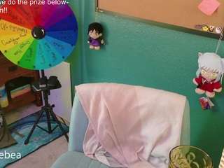 savethebea camsoda stream image, 12.08.2026 19:20
