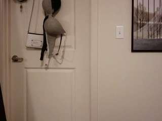 bigbootybullynisha camsoda stream image, 14.08.2026 01:10