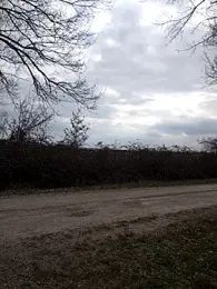 JasmineNoir2 stripchat stream image