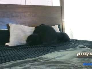 shawn-geni camsoda stream image, 09.09.2026 03:00