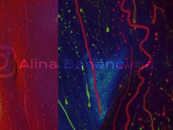 HeyBanana bongacams stream image