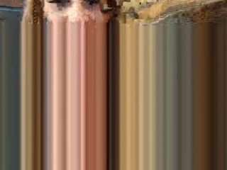 starryari69 camsoda stream image