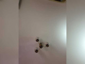 LittleDelora bongacams stream image