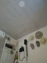 DAELAA stripchat stream image