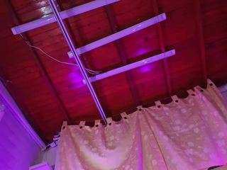 mssbombom camsoda stream image