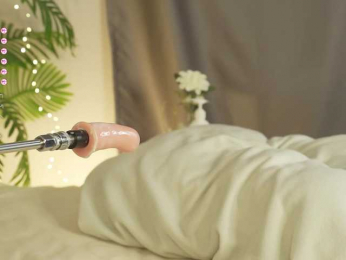 Karollovea bongacams stream image