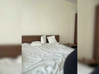 BabyDarii bongacams stream image