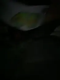 Hannahoff stripchat stream image