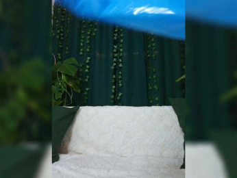 violetttttkabc bongacams stream image