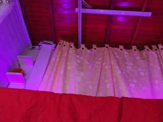 mssbombom camsoda stream image