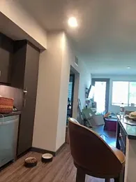 Bigbuttbrooklynn stripchat stream image