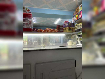 praesertim bongacams stream image