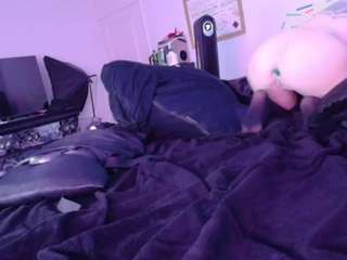 midnightrose11 camsoda stream image