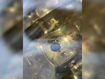 VikkiExtraCheese bongacams stream image