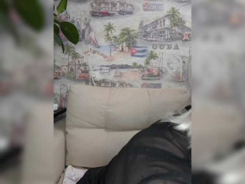 Anesteishen bongacams stream image