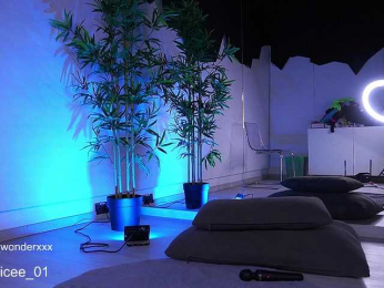 VanesaSimon bongacams stream image