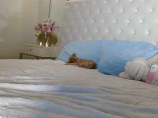 giannalove camsoda stream image