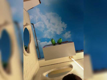 GAVKA_ bongacams stream image